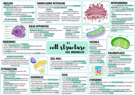 Cell Structure Concept Map