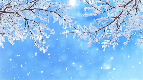 Snowflake Branch In Snowfall 4k 5k Hd Snowflake Wallpapers Hd