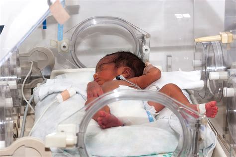 Baby Incubator Brave Beginnings
