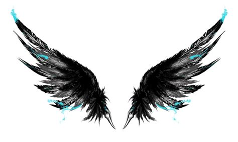 Black Wings Png Picture Png All Png All