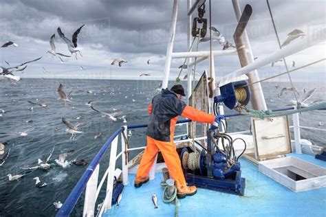 Fisherman Operating Winch On Deck Of Trawler Stock Photo Dissolve