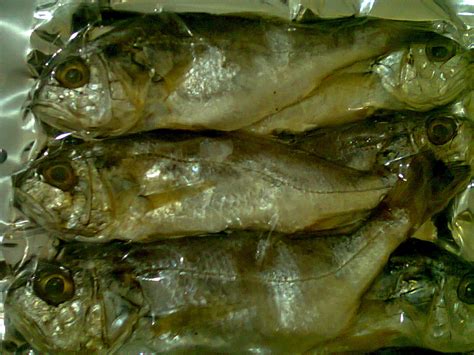 Ikan masin / salted fish. OceanBlue Seafood Store: Aneka Produk Hasil Laut