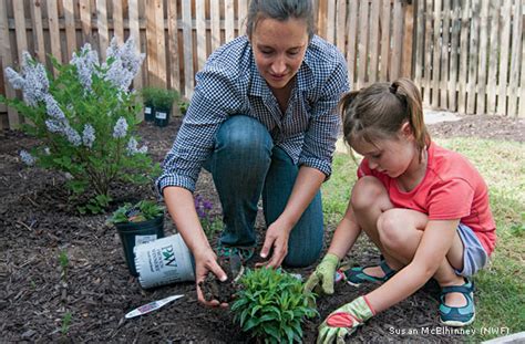 9 Tips For Gardening With Kids