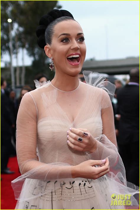 Katy Perry Grammys 2014 Red Carpet Photo 3041048 David Hudson