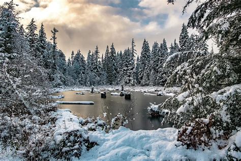 Snowy Pond Photograph By Captured By Coletta Pixels