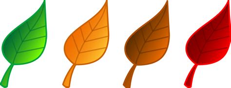 Fall Leaf Cartoon