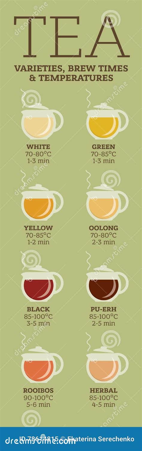 Tea Varieties Brewing Time And Temperature Vector Illustration