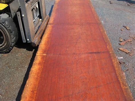 Bubinga Slabs Good Hope Hardwoods Walnut Slabs And Specialty Hardwood