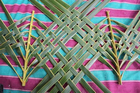 Coconut Palm Weaving Dilly Bag Fruit Bowl Taro Basket Palm Leaf