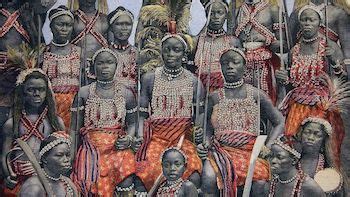 The Dahomey Amazon Women A Story African American Registry
