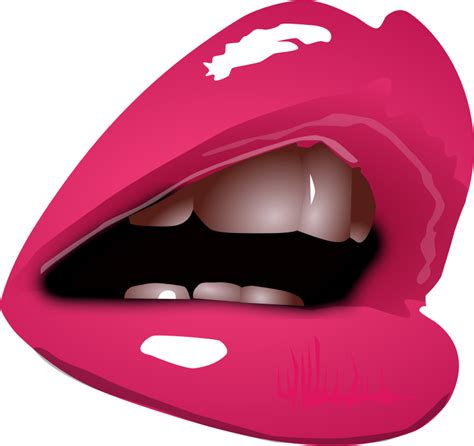 Woman Lips Openclipart