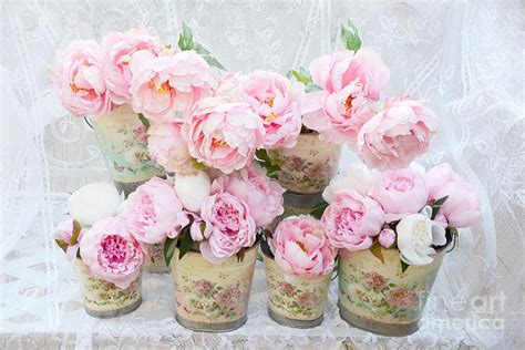 Romantic Peonies Shabby Chic Cottage Garden Pink Peonies Photograph
