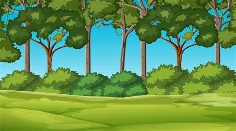 Forest Background Clipart