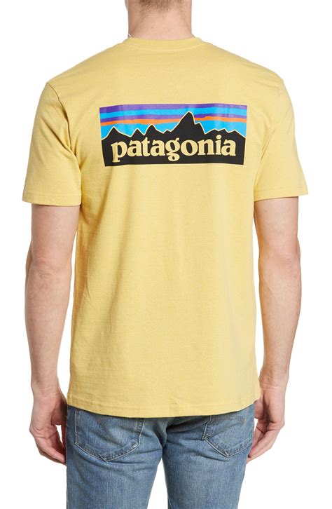 Patagonia Responsibili Tee T Shirt In Yellow For Men Lyst