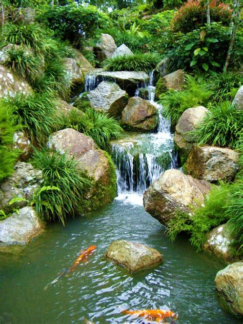 Garden Pond Designs Waterfalls Gazebodesign