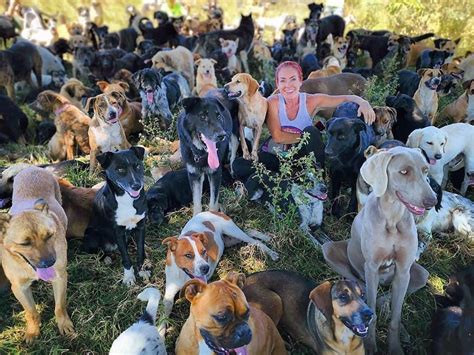 This Animal Sanctuary Is Literally Doggy Paradise