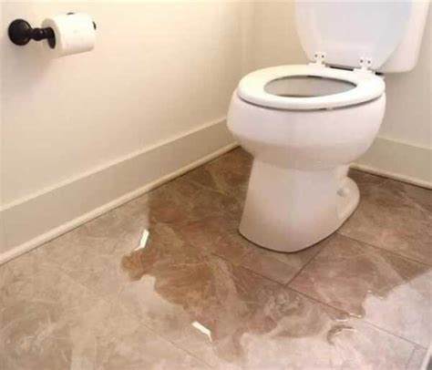 Know All About Toilet Overflow Damage