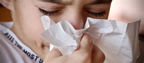 Gripe Alergia Resfriado Ou Rinite Descubra A Diferen A