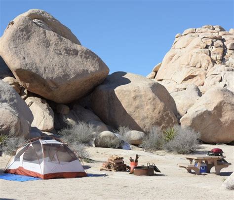 8 Best Campgrounds In Joshua Tree That Wont Disappoint