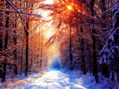 Snow Scenes Wallpaper Nature Wallpapers 11 Winter Wallpaper