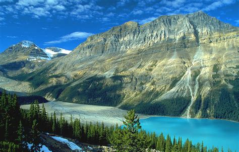 Wallpaper Forest Mountains Lake Rocks Canada Albert Banff