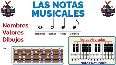 Detalle 39 Imagen Notas Musicales Dibujos Y Nombres Vn