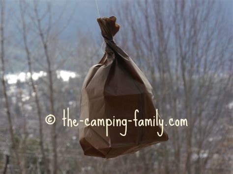 Set up fake nests much like wasps, bees are very territorial. Wasp Sting Prevention