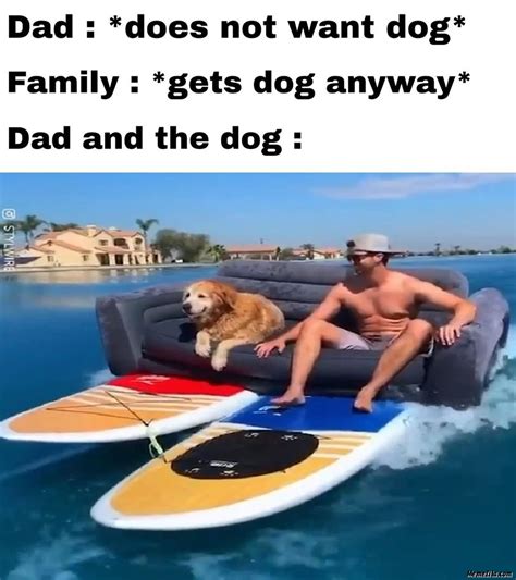Dad Does Not Want Dog Meme
