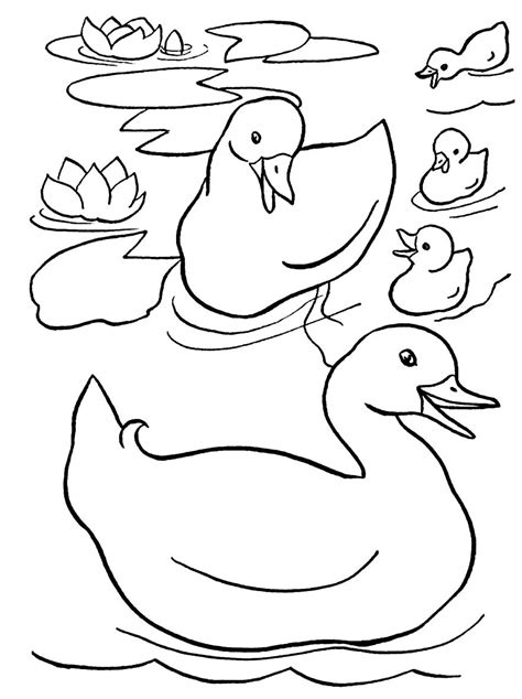 Pato Desenho Meme