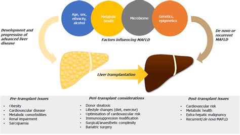 Metabolic Associated Fatty Liver Disease Addressing A New Era In Liver