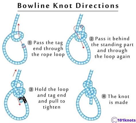 Best Knot For Dog Leash A Quick Guide