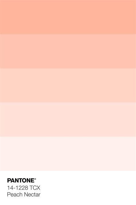 Pantone S Peach Nectar Color Is Shown In This Image It Looks Like An