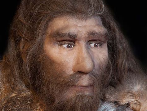First Neanderthal Remains Discovered In Serbia Reveals Human Migration