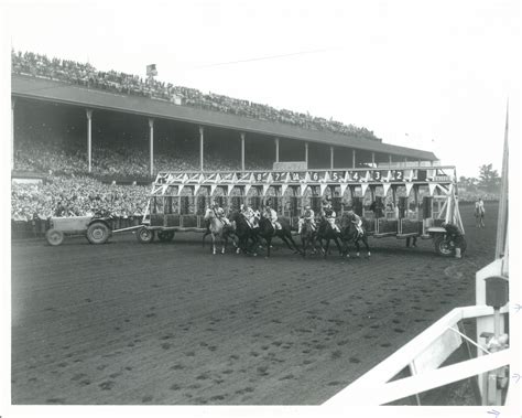 150 years later, NYRA experts pick the Top 5 Belmont Stakes | Belmont