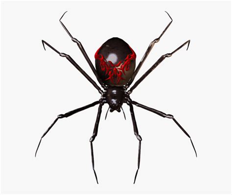 Spider Widget Clip Art Clipart Transparent Png Black Widow Spider