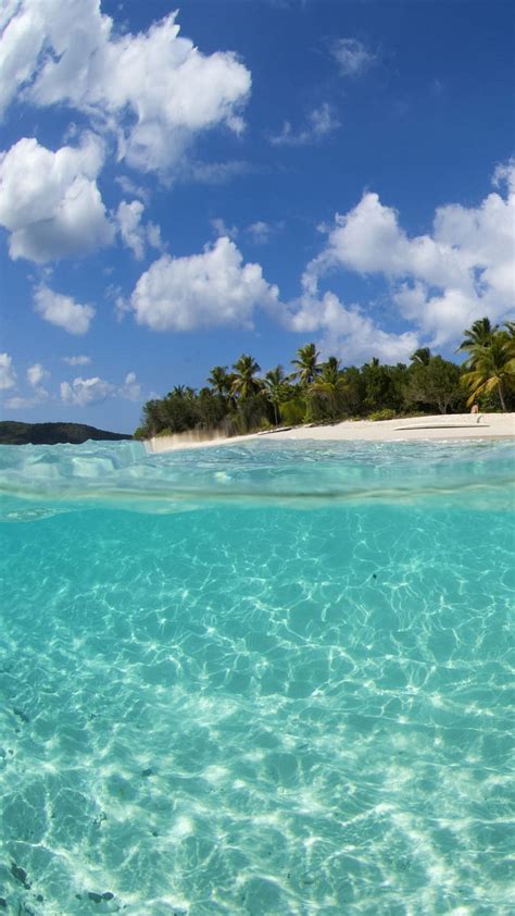 Sandy Cay Bvi Beach Palms Sandy Cay Turquoise Blue Water White