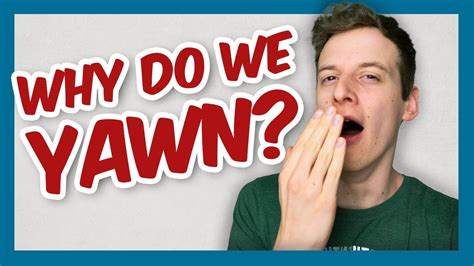 Why Do We Yawn And Why Is It Contagious Youtube