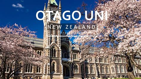 University Of Otago Phd Scholarships New Zealand 2022