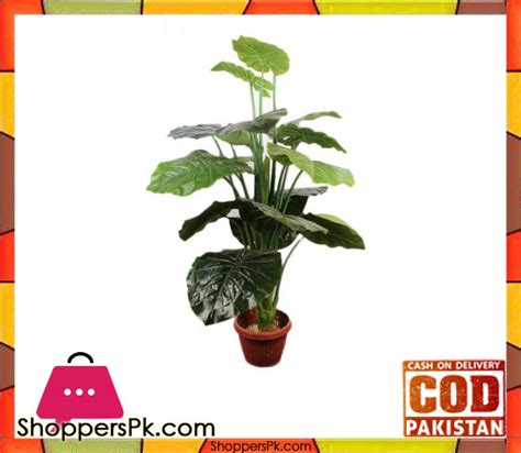 36 hours' prior order require. Buy The Florist Luxury Artificial Decorative Rubber ...