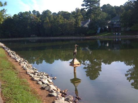 Maybe you would like to learn more about one of these? Lochmere, Cary NC