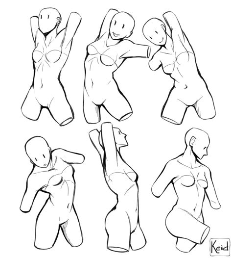 Female Torso Drawing Reference And Sketches For Artists