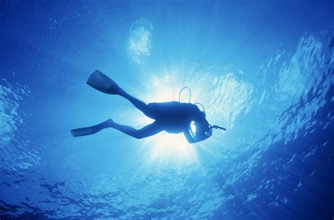 Free Scuba Diving Wallpapers Wallpaper Cave