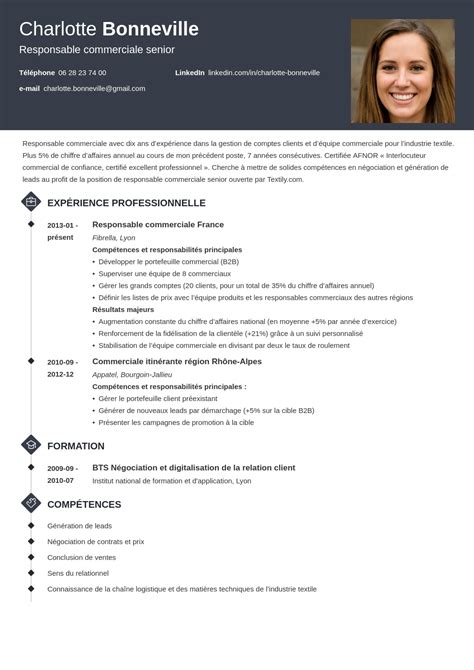 Exemple Profil Cv Commercial