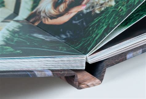 These lay flat photo books are all printed on silver halide printers. Deluxe Photo Albums | Personalised Photo books Online ...