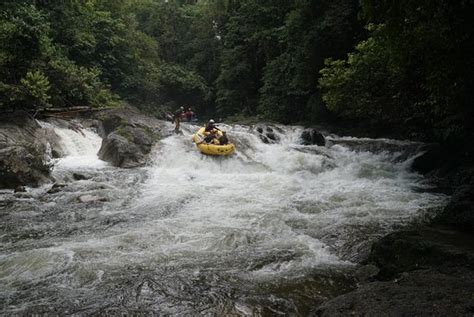 Tree top walk is located within the sungai sedim recreation park, about 30 minutes drive from the town of kulim in kedah. Tree Top Walk Sungai Sedim (Kedah) - 2019 All You Need to ...