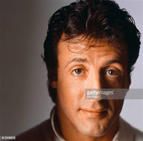 Sylvester Stallone Portrait Session Photos And Premium High Res