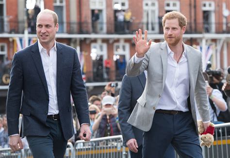 Prince William Was Reportedly Jealous Of Prince Harrys Loveable Rogue