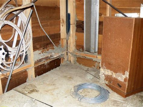 Call us today for a free quote. Building & Pest Inspection Gallery - Brisbane | Inspect My ...