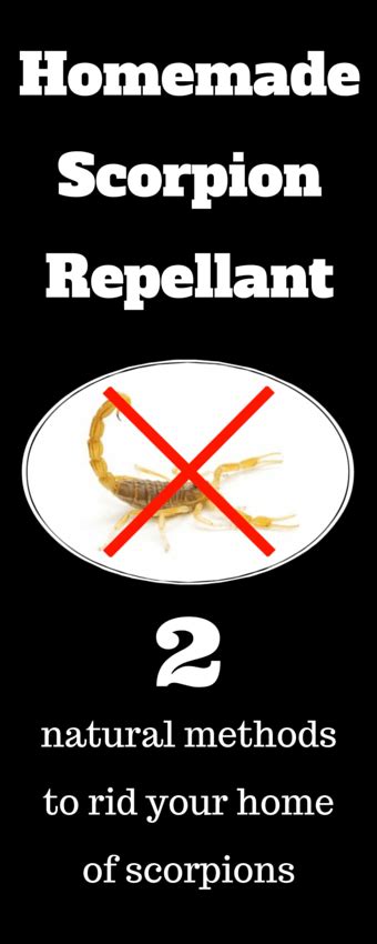 Can we use flea fogger on our pets? Homemade Scorpion Repellant | Scorpion, Diy pest control ...