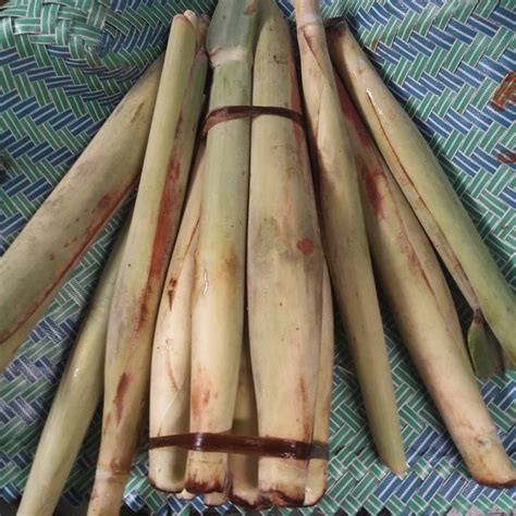 Aìr tëbu mëngandung caìran dan ëlëktrolìt yang dìbutuhkan olëh tubuh. Sayuran Khas Indonesia: Enaknya Tebu Telur